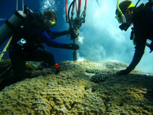 Drilling a coral core.  Credit: Konrad Hughen.